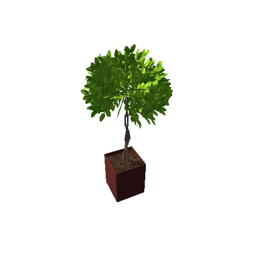 small tree7